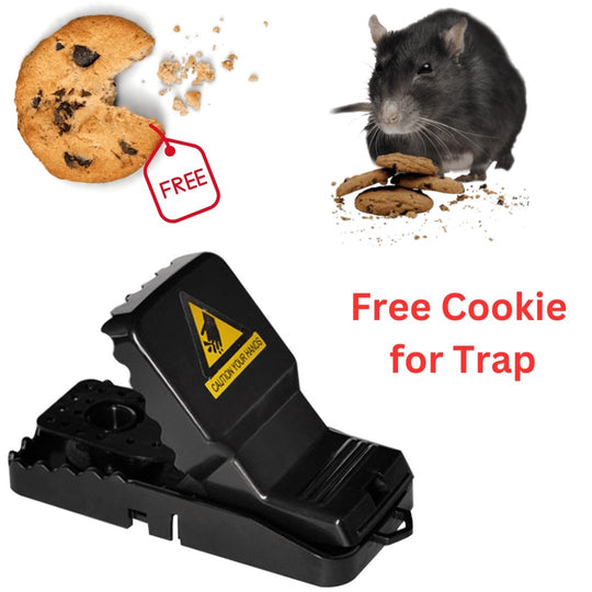 Heavy Duty Mouse Trap