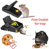 Heavy Duty Mouse Trap